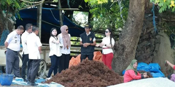 LO Takalar - China Tinjau Potensi Rumput Laut dan Lawi-Lawi Desa Punaga