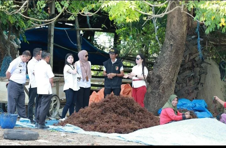 LO Takalar - China Tinjau Potensi Rumput Laut dan Lawi-Lawi Desa Punaga