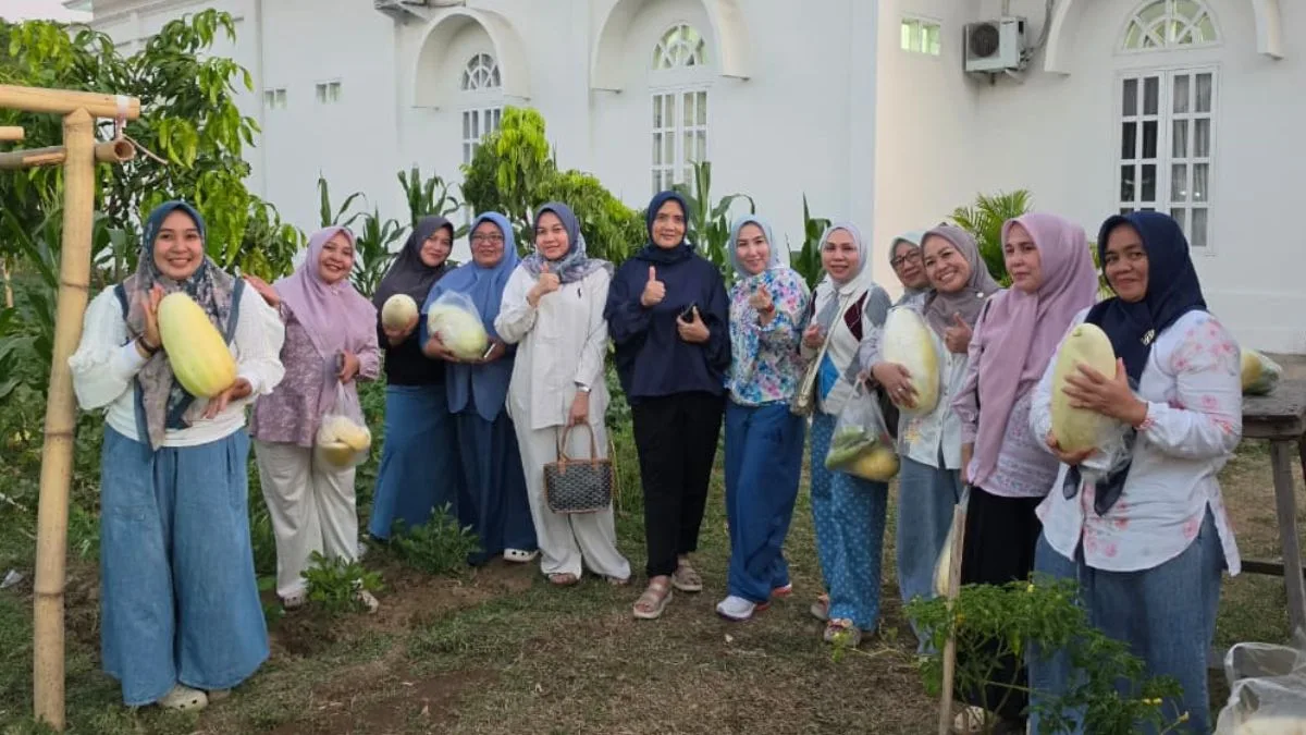 Ketua TP-PKK dan Ibu Forkopimda Takalar Panen Timun Suri di Rujab Bupati